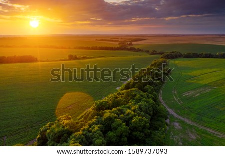 Aerial top view of green rural area under colorful sky at sundown. Location place of Ukraine, Europe. Drone photography. Perfect wallpaper. Concept of agrarian industry. Discover the beauty of world.