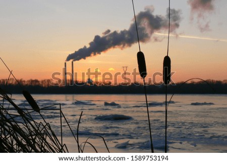 Silhouettes of reeds against the backdrop of a frozen river against the sky at sunset and smoking chimneys