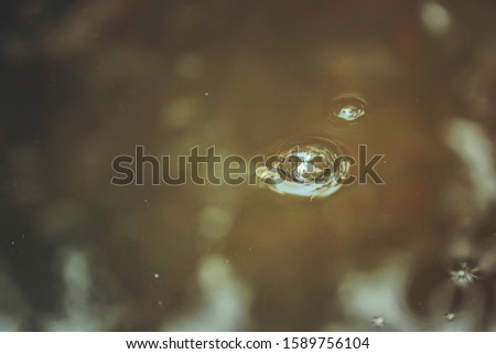 Bubble in a muddy puddle during autumn rain. Rain bubble in a puddle. This phenomenon is often observed during autumn rains.