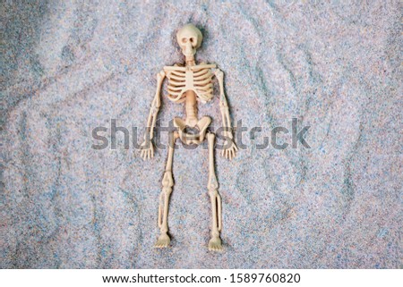 one human
skeleton figure lies in the sand