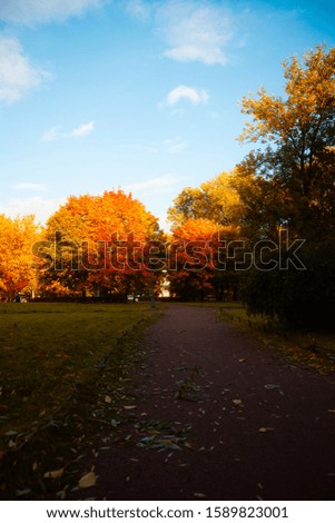 Autumn in the city Park, landscape with yellowed trees