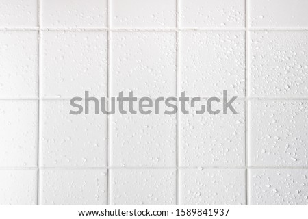 wet white tiles in the bathroom, white grout seams