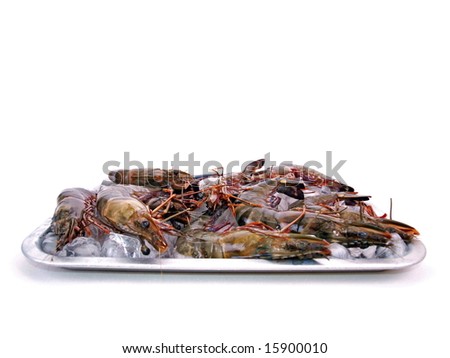 Big Sea Tiger Prawns stacked on tray picture three