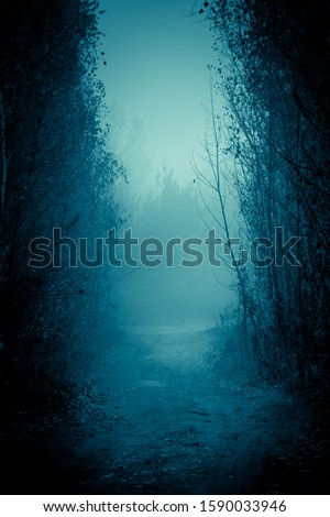Mysterious pathway. Footpath in the dark, foggy, autumnal, mysterious alley, among high trees.