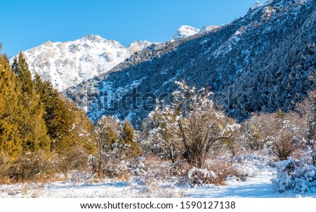 Winter in the mountains in unbreaked weather