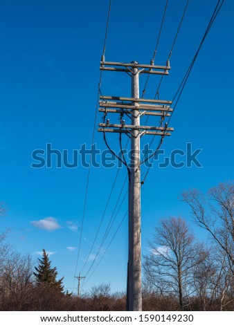 Tall electrical poles and transmission cables against blue sky in wooded area