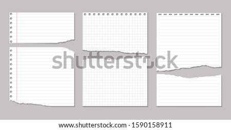 Torn white, squared and lined note, notebook paper pieces stuck on grey background. Vector illustration Royalty-Free Stock Photo #1590158911