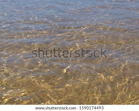 
clear sea view in the shallow water.