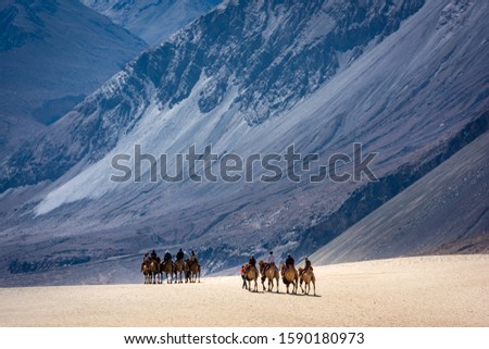 A group of people enjoy riding a camel walking on a sand dune in Hunder, Hunder is a village in the Ladakh, India Royalty-Free Stock Photo #1590180973