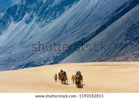 A group of people enjoy riding a camel walking on a sand dune in Hunder, Hunder is a village in the Ladakh, India Royalty-Free Stock Photo #1590182815