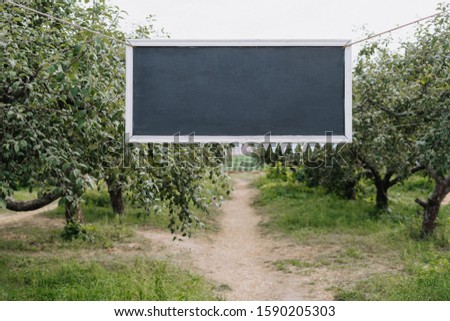 Blackboard with White Frame Hanging on Tree Branch in Garden Photography. Blank Black Desk Billboard. Beautiful Forest on Background. Nature Park and Empty Chalkboard in Summer Day