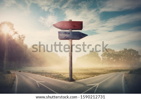 Surreal landscape with a split road and signpost arrows showing two different courses, left and right direction to choose. Road splits in distinct direction ways. Difficult decision, choice concept. Royalty-Free Stock Photo #1590212731
