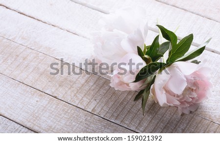 Postcard with fresh peony flowers on white wooden background.