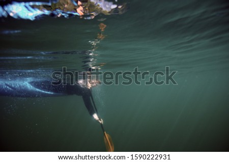 Underwater shot of person on side in kayak