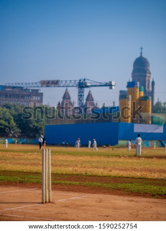 Cricket Stumps at cricket ground