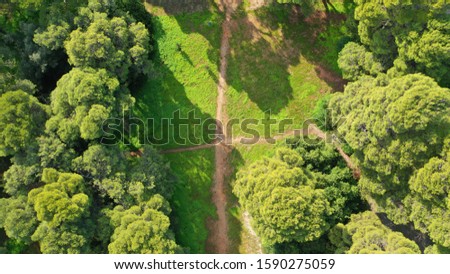 Aerial drone top down photo of beautiful nature in Greenwich park, London, United Kingdom