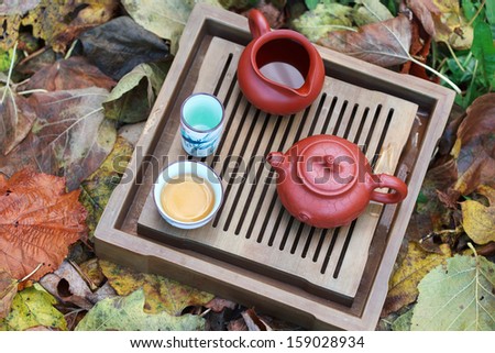 Traditional chinese tea ceremony accessories (tea pot and tea pair) on the tea table amongst autumn leaves, selective focus on the cup