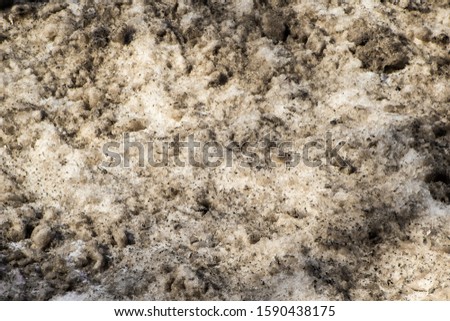 Dirty snow close-up, winter in Russia