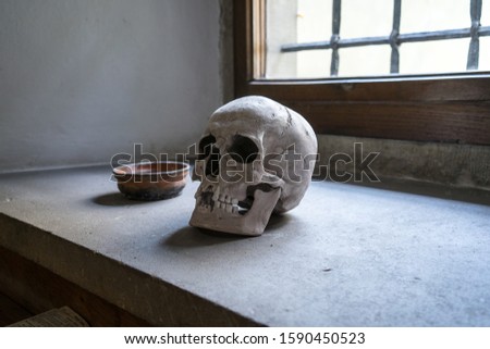 A skull on a window sill during daytime - muse for a writer