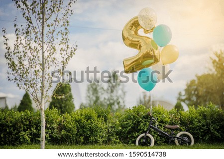 close up photo of a birthday present for a 2-year boy: a bike with balloons laying on the grass