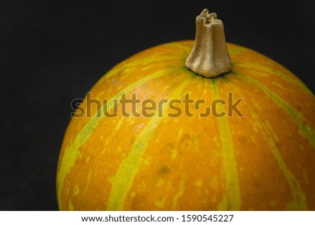 Orange toy pumpkin on black background, halloween