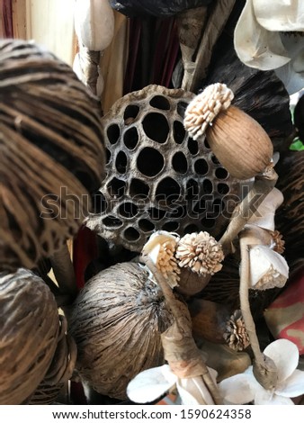 Picture of dry shower Dry flowers Bouquet of dried flowers
