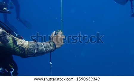 underwater​ photo of hands of the dive leader and instructor release the Surface Marker Buoy to prepare to descending from the deep water to ship  and doing safety stop before go to shallow 
