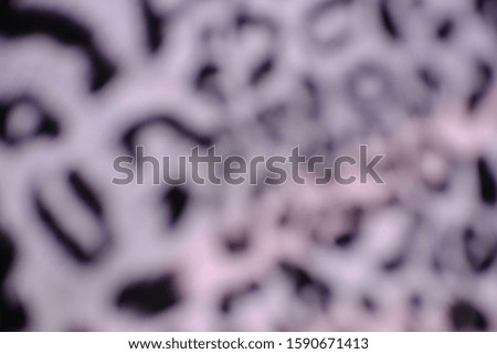 Blurry leopard abstract wallpaper background and patterns 