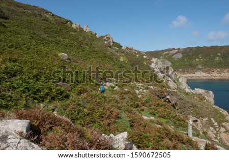 Female Adult Walker on the South West Coast Path Covered with Bracken at the Cornish Seaside Village of Lamorna Cove in Rural Cornwall