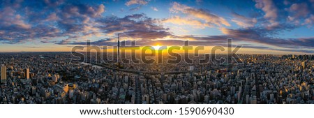 Aerial panorama view by drone of Tokyo Cityscape with Tokyo Sky Tree visible in Tokyo city, Japan on sunrise.