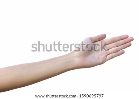 Hands and arms on a white background. 