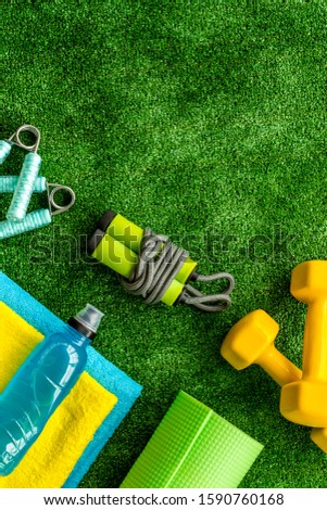 Gym equipment - dumbbells, jump rope - frame on green grass background top-down copy space