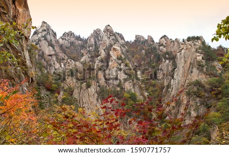 Fall foliage at Seoraksan National Park, Korea
