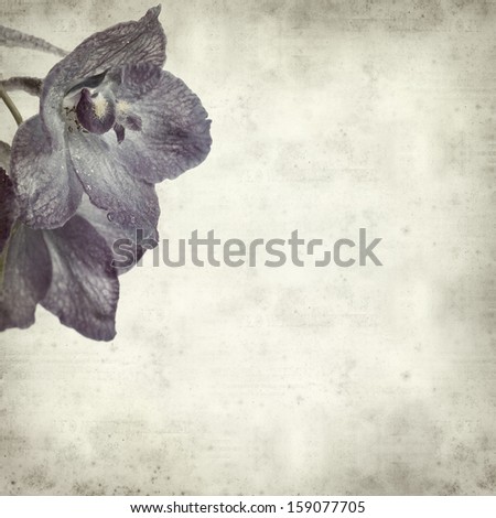 textured old paper background with delphinium