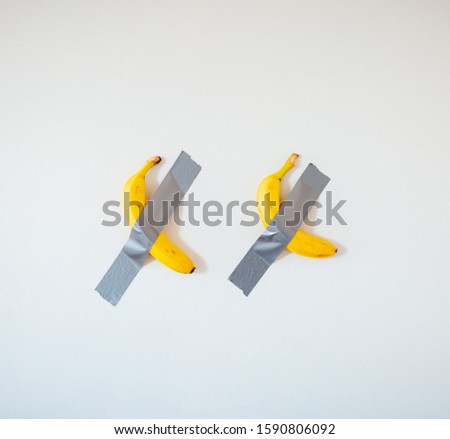 Two bananas close up taped to the white wall. Popular image. New trend in photography. A conceptual look at modern art. Artistic picture. 