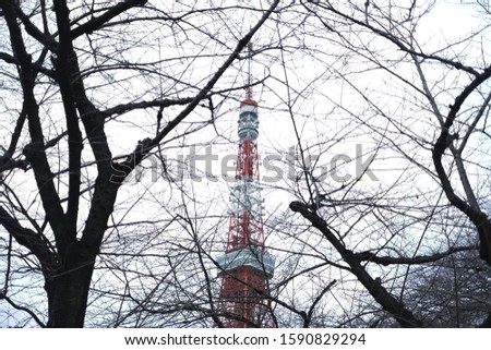 Tokyo tower through the branches image Royalty-Free Stock Photo #1590829294