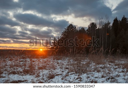 Winter sunset in Central Russia -forest and colorful sky