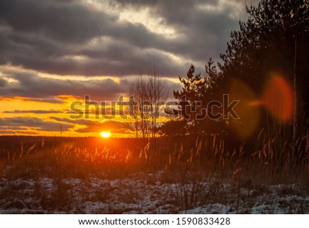 Winter sunset in Central Russia -forest and colorful sky