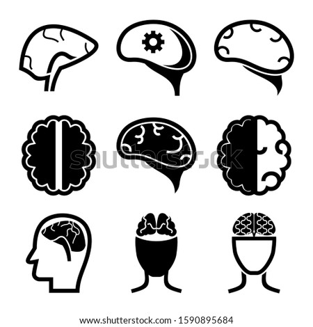 brain icon isolated sign symbol vector illustration - Collection of high quality black style vector icons
