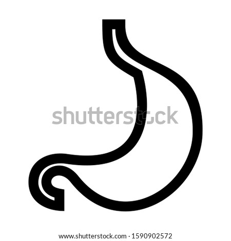 stomach icon isolated sign symbol vector illustration - high quality black style vector icons
