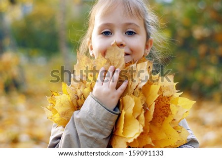 The little lovely girl with autumn leaves