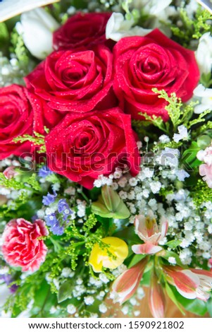 Bouquet of fresh red, white , orange roses . bouquet of multicolored roses . Red flower picture close up in the bouquet. The flower's petal
