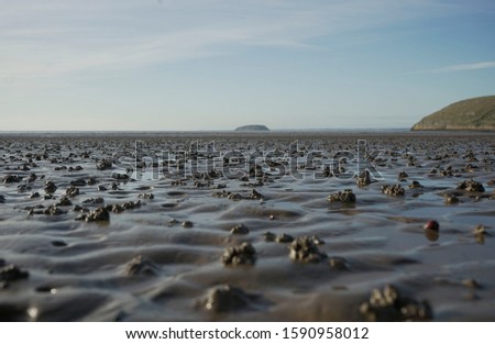 Mud flat worm casts at Burnham on Sea in the River Severn estuary. Brean Down Royalty-Free Stock Photo #1590958012