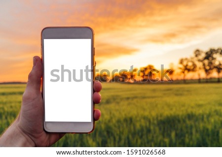 A man holds a phone in his hand at sunset in a field. Mockup image
