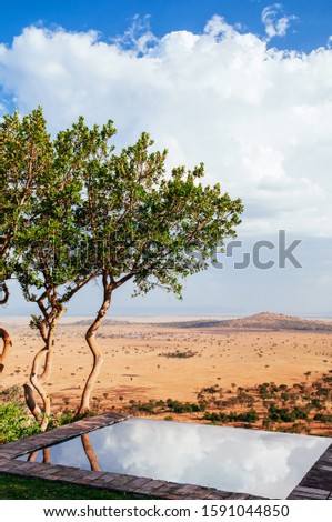 Luxury resort infinity swimming pool Serengeti Grumeti Reserve wildlife park grass plain beautiful wide landscape and mountain hill with clouds sky Royalty-Free Stock Photo #1591044850