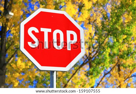 Road sign STOP and autumn trees