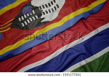 waving colorful flag of gambia and national flag of swaziland. macro