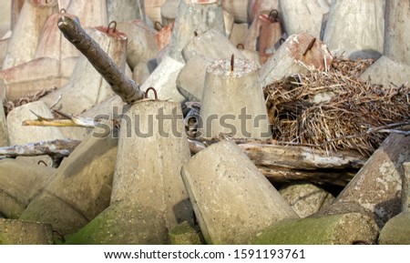 The seawall around the sea port facilities is made of concrete tetrapods (traveling-wave protection), rubble-mound breakwater. There's lot of debris thrown out by storm Royalty-Free Stock Photo #1591193761
