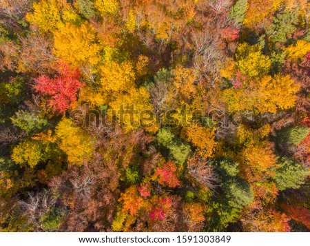 White Mountain National Forest fall foliage near Kancamagus Highway aerial view near Sugar Hill Scenic Vista, Town of Lincoln, New Hampshire NH, USA.