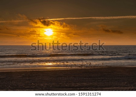 
sunset at the north atlantic ocean in portugal